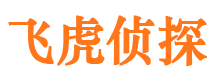 万宁侦探公司